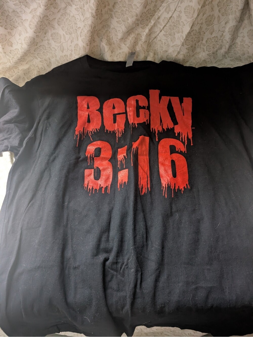 Next Level Apparel XL Men's Black Graphic T-Shirt Becky 3:16 Blood Stone